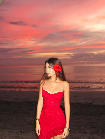 Red A Line Spaghetti Strap Sequin Tulle Short Homecoming Dress Vacation Dress HZ1023